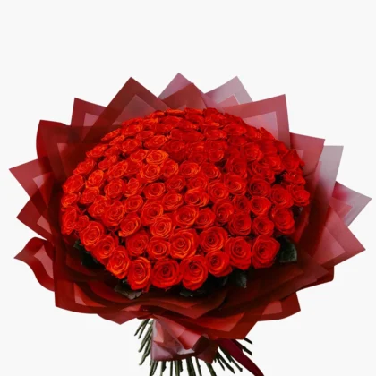 Grand Scarlet Rose Dome