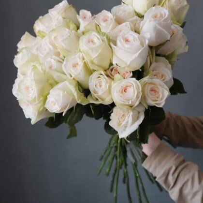 Ivory Majesty — 75 White Roses
